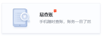 易查账